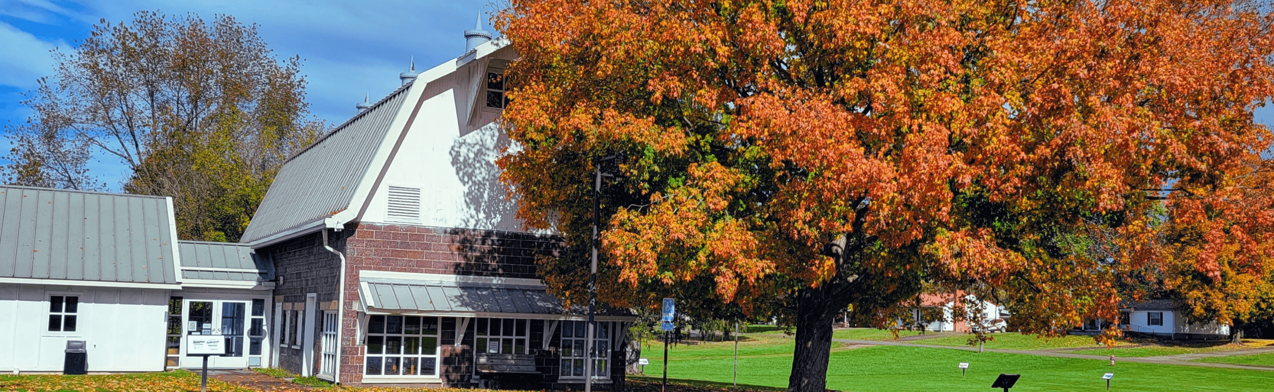 Racine library in autumn with maple tree out front, leaves changing 