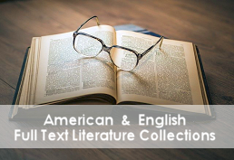 American & English Literature screenshot