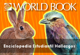 Rabbit and exotic bird with text World Book The optimal beginner’s Spanish-language reference tool offering all the best elements of World Book Kids; designed to build key language and research skills. – La herramienta de referencia en español óptima para principiantes que ofrece todos los mejores elementos de World Book Kids; diseñado para desarrollar habilidades clave de lenguaje e investigación