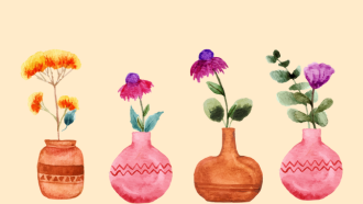 vases of flowers
